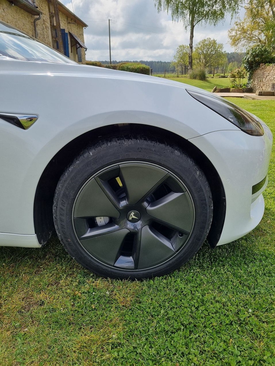 Tesla Tesla Model 3 Standard Range Plus RWD 2020 3