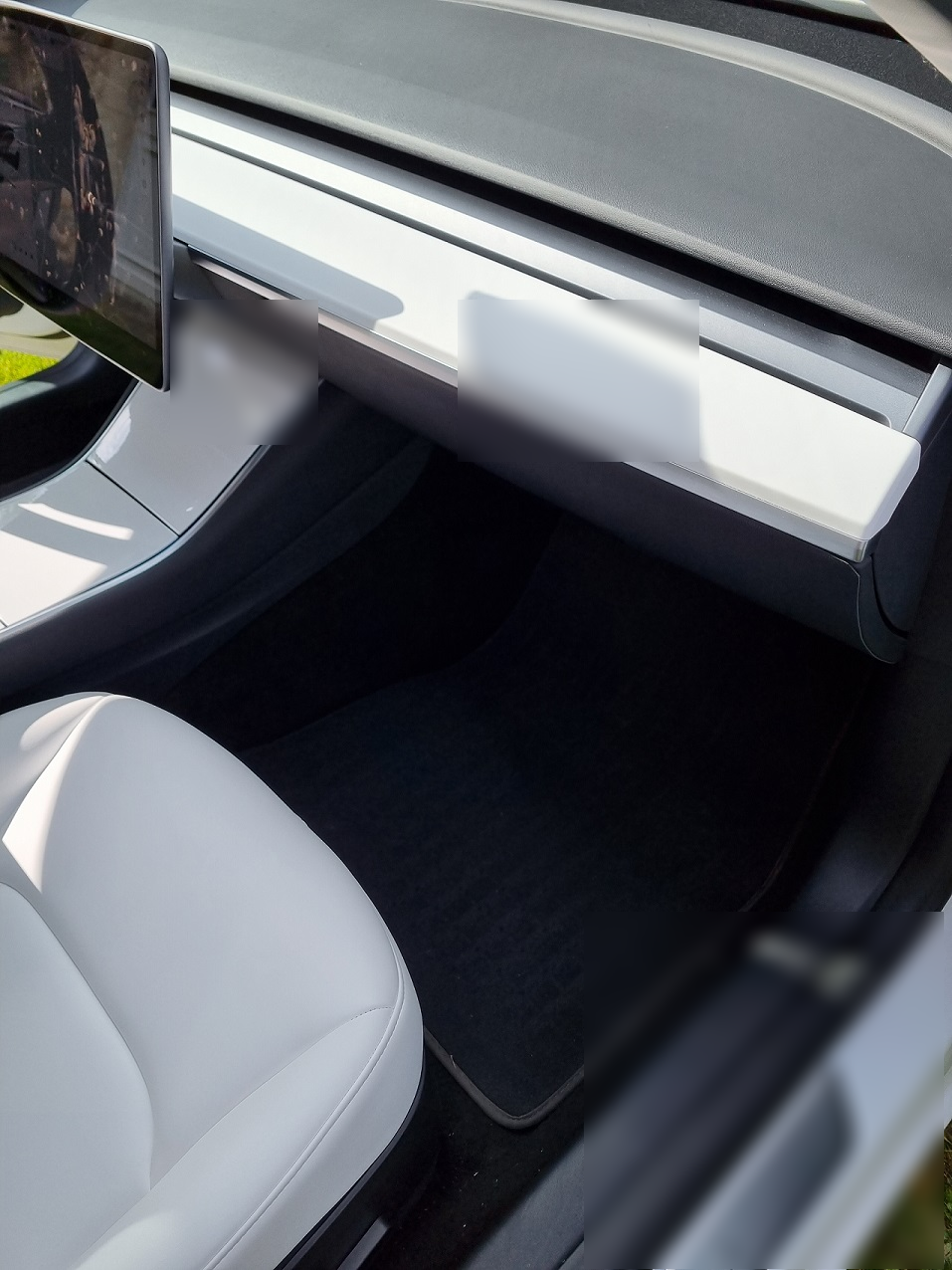 Tesla Tesla Model 3 Standard Range Plus RWD 2020 9
