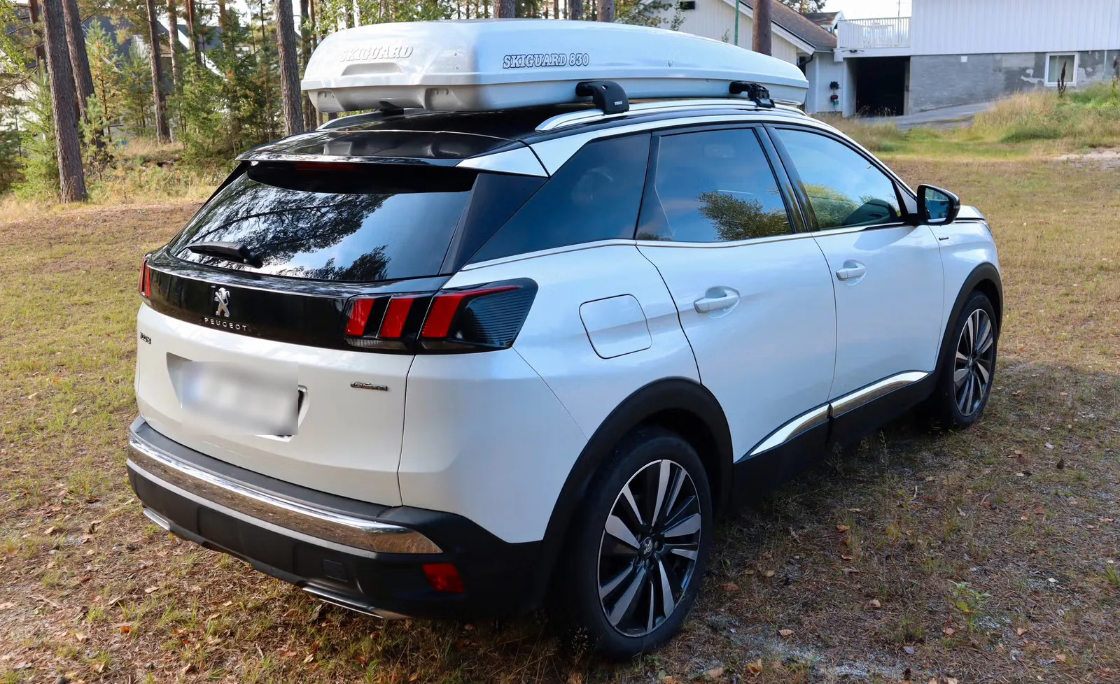 Peugeot 3008 2019 2