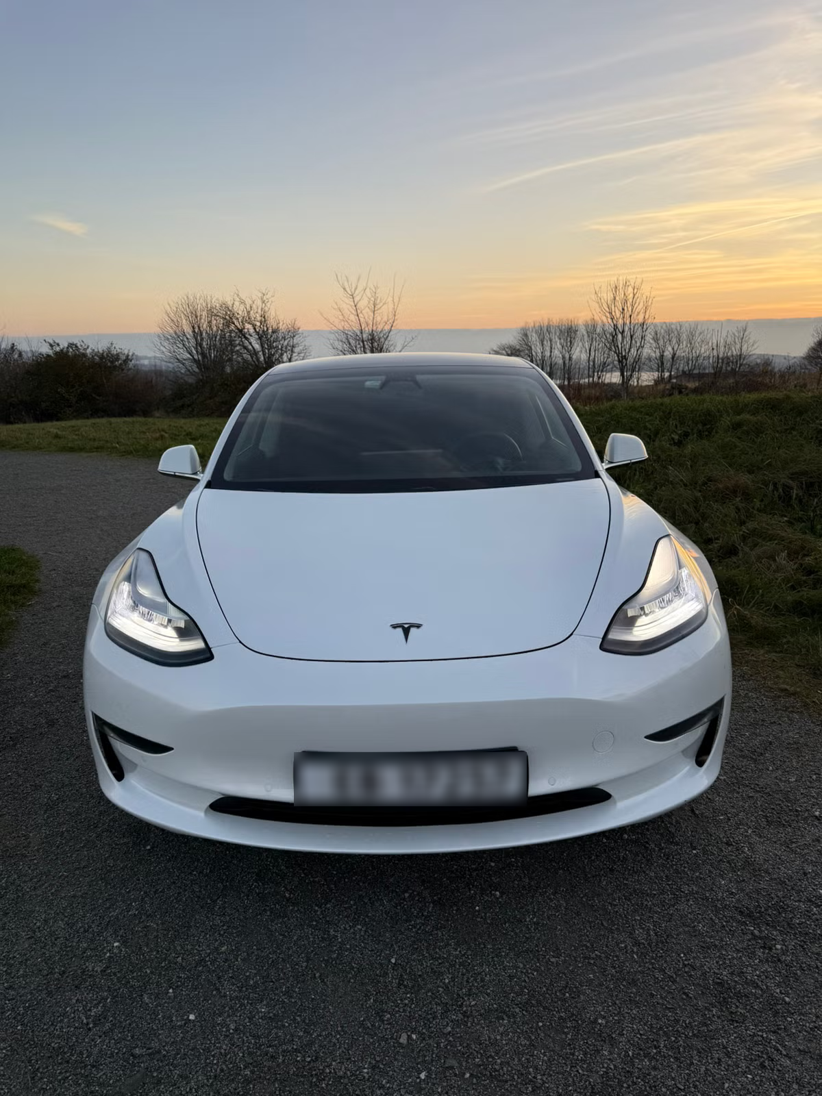 Tesla Model 3 Long Range AWD 2019 8