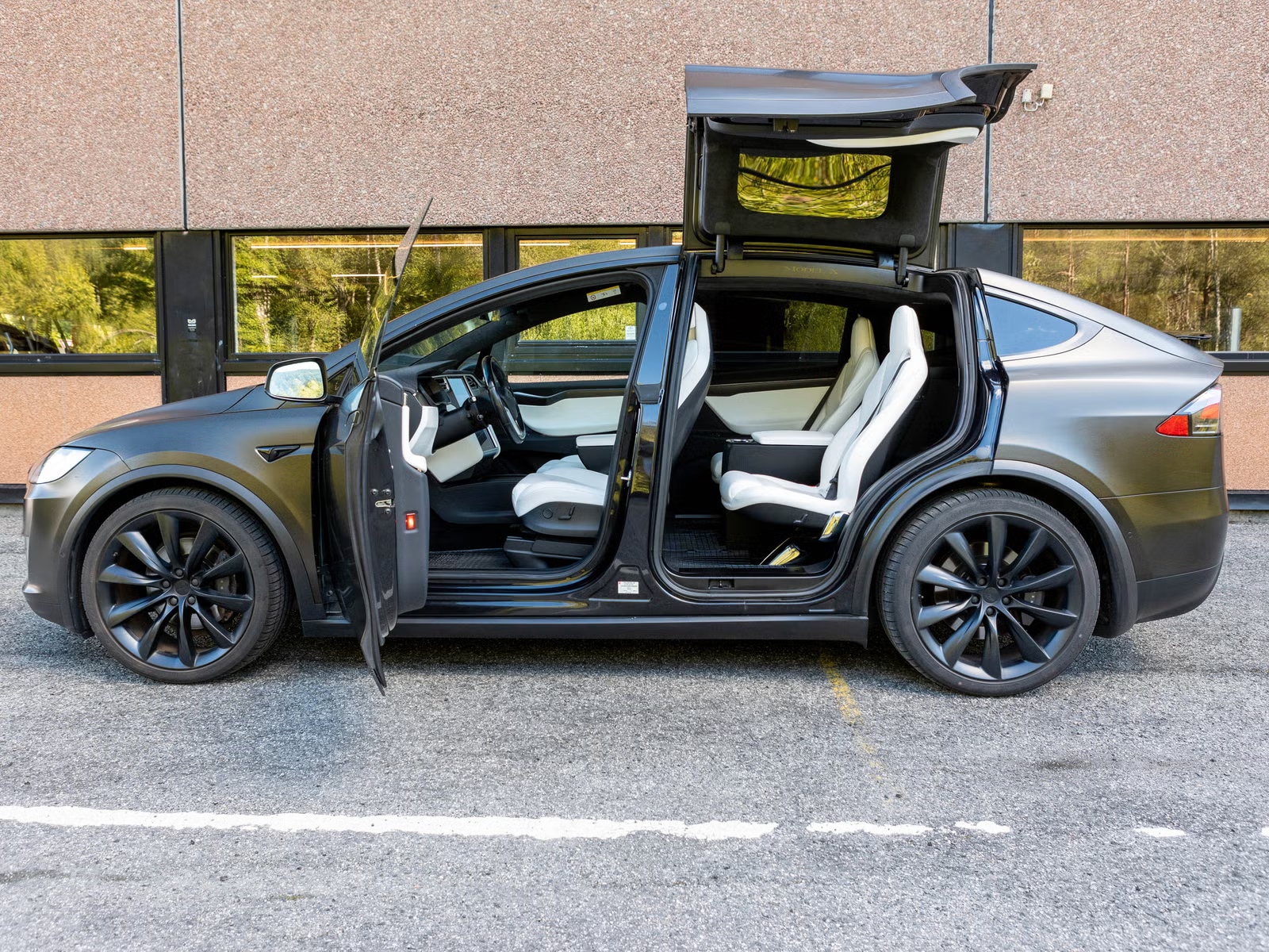 Tesla Model X 100D 2017 21