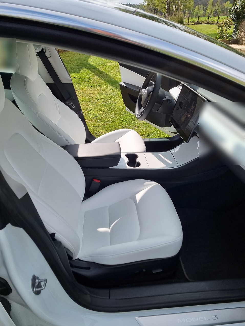 Tesla Tesla Model 3 Standard Range Plus RWD 2020 8
