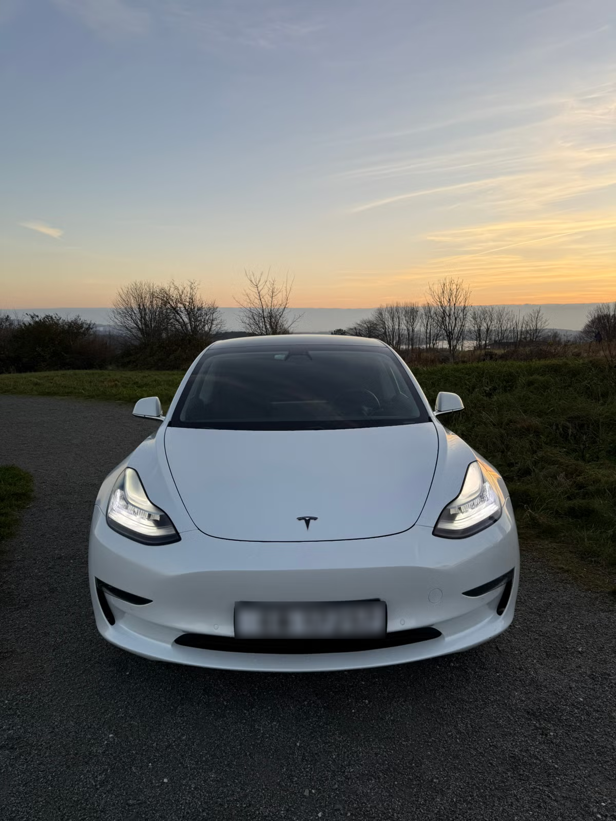 Tesla Model 3 Long Range AWD 2019 3