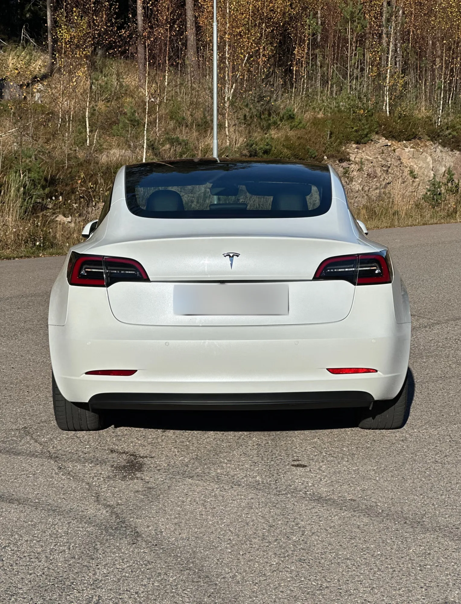 Tesla Model 3 Standard Range 2022 14