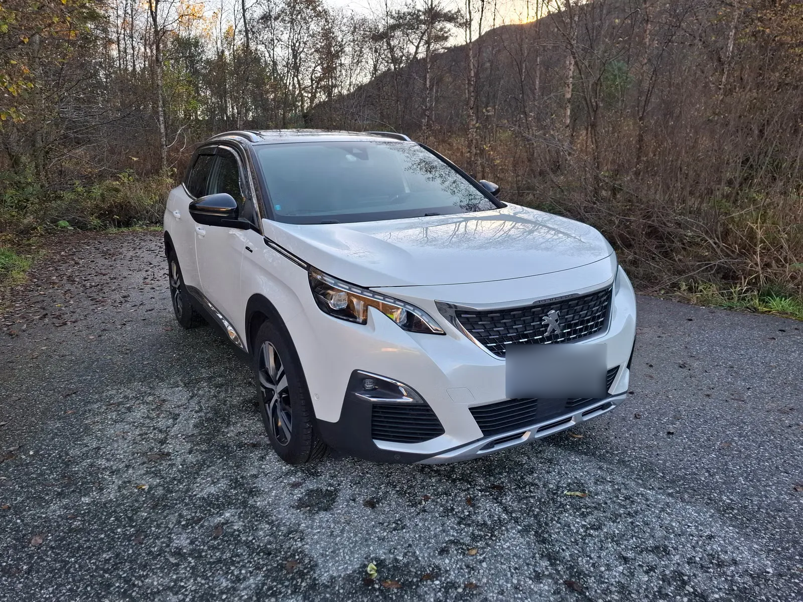 Peugeot 3008 2017 5