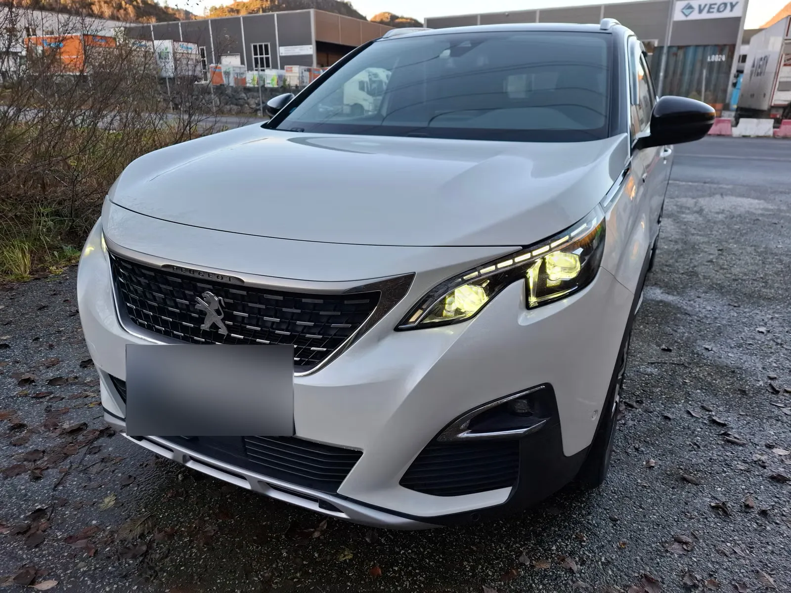 Peugeot 3008 2017 1