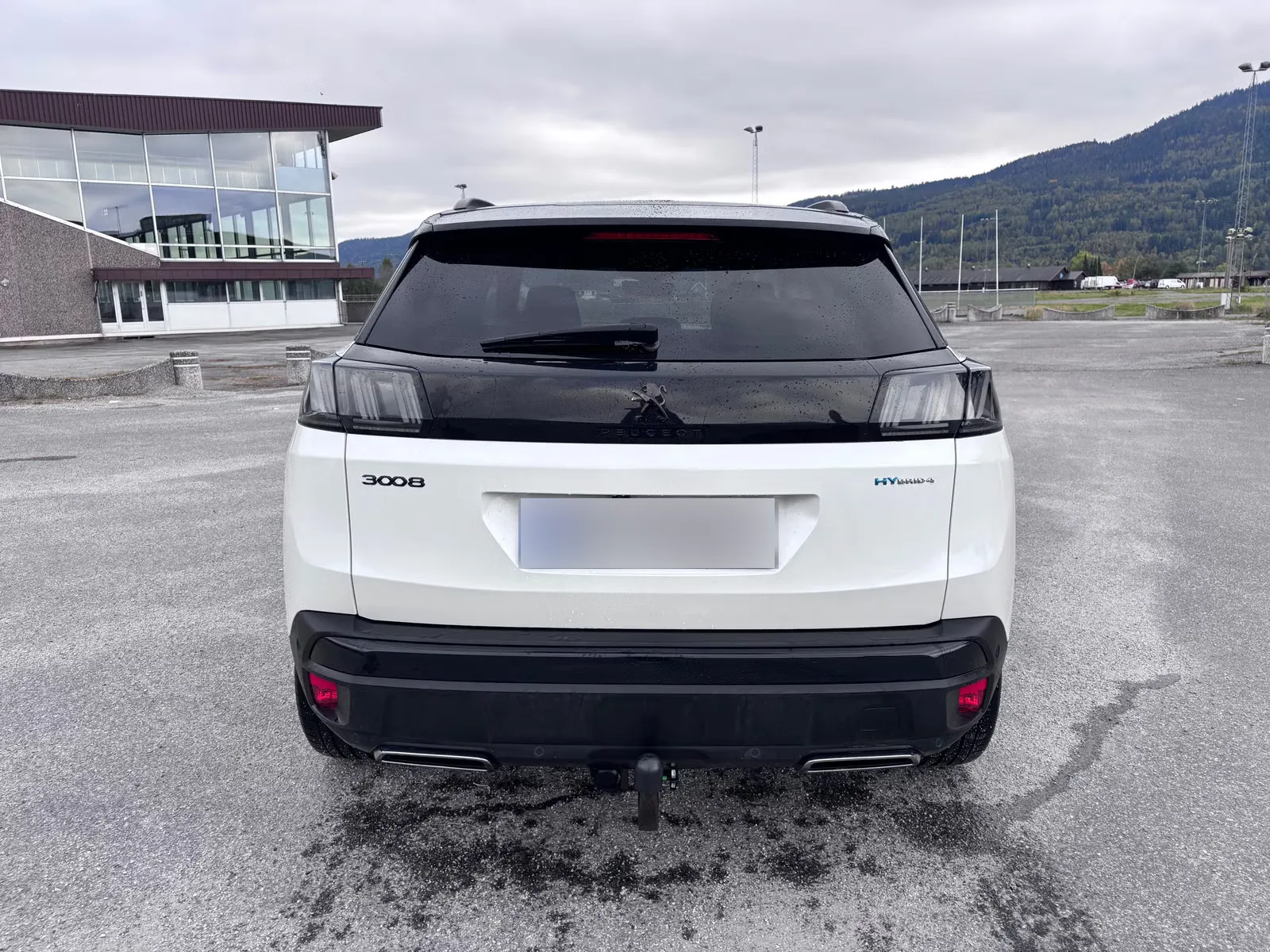 Peugeot 3008 2021 10