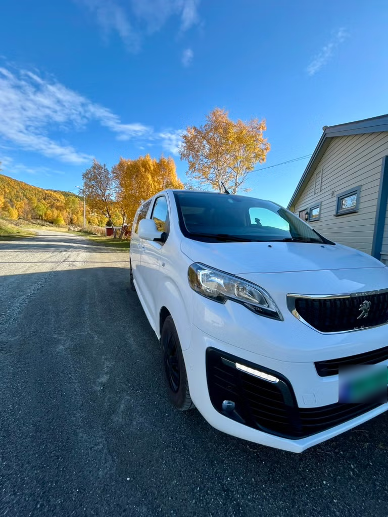 Peugeot Expert 4x4 Mester 2018 25