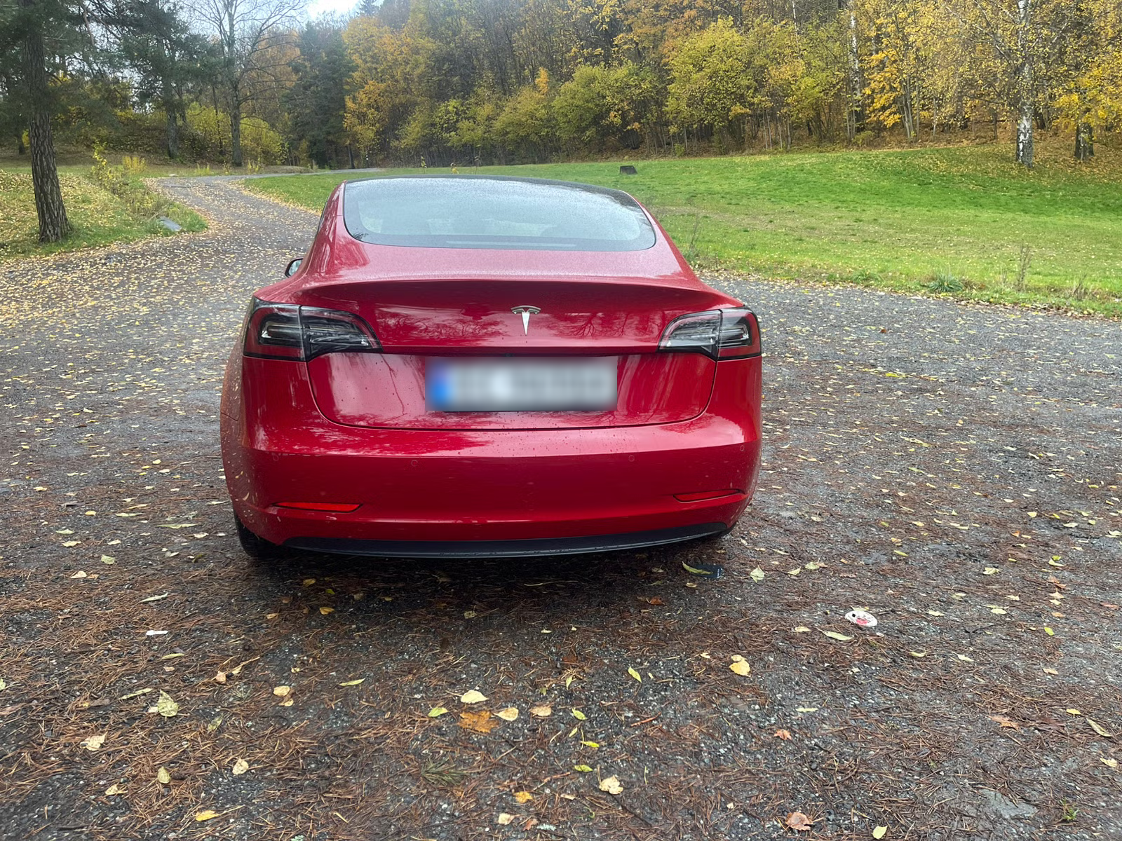 Tesla Model 3 Standard Range Plus 2021 10