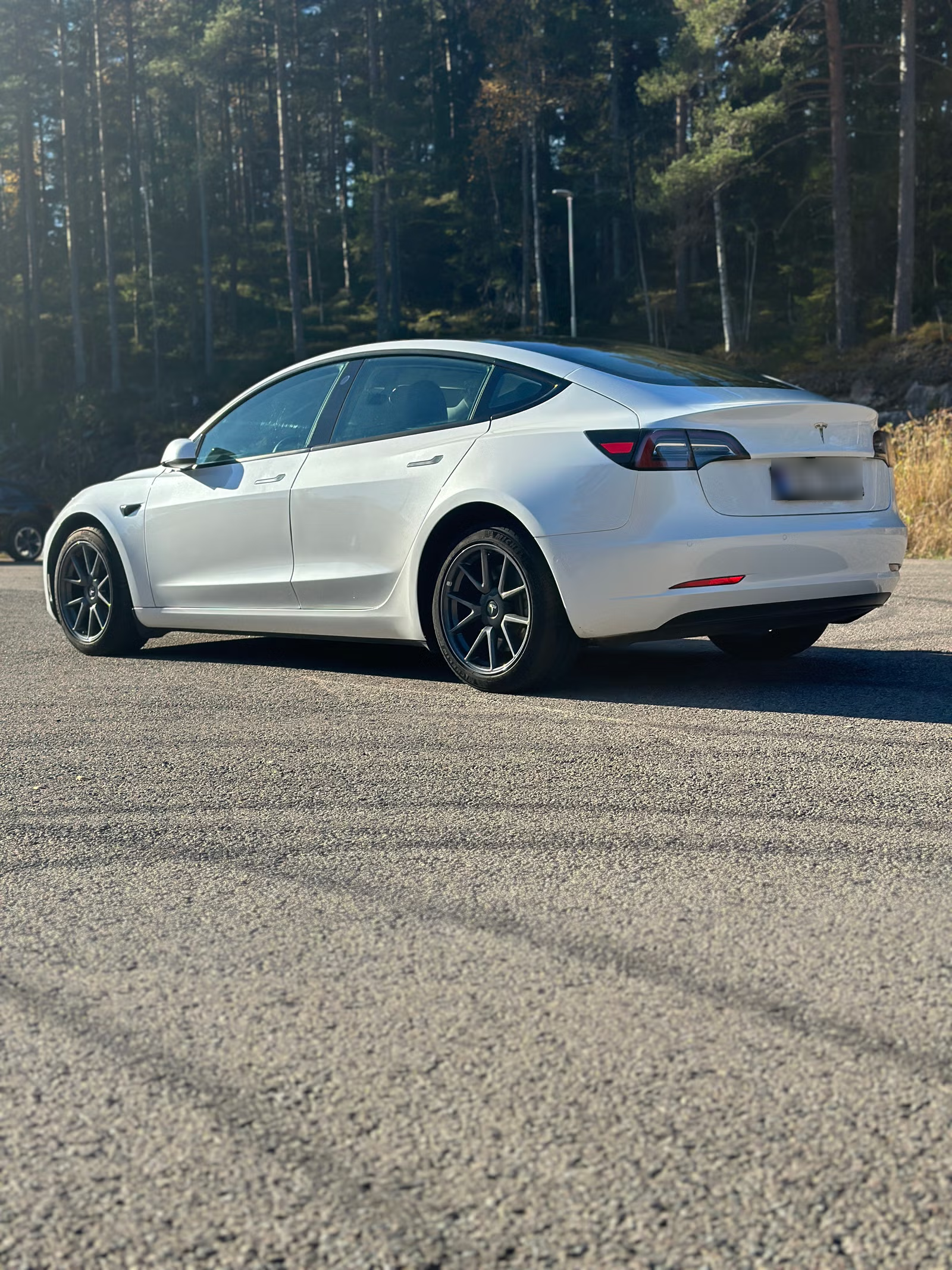 Tesla Model 3 Standard Range 2022 10