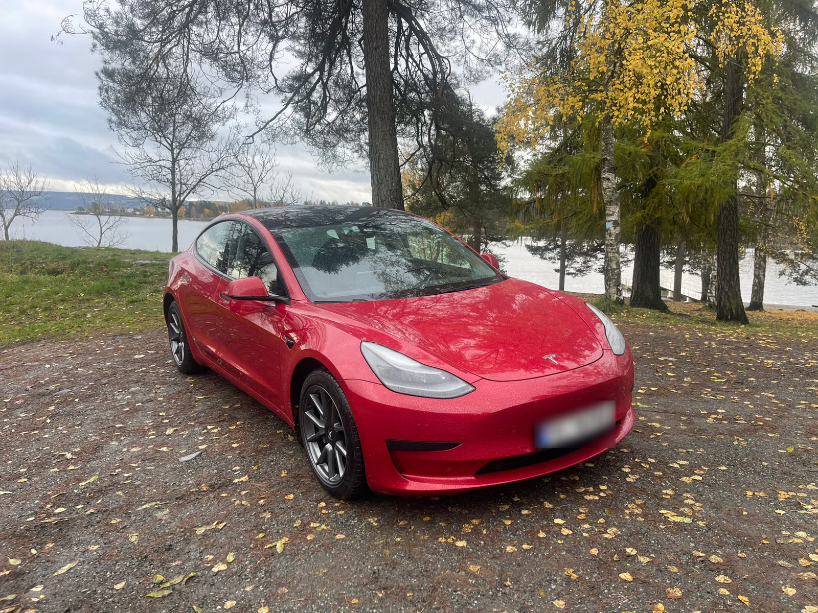 Tesla Model 3 Standard Range Plus 2021 6