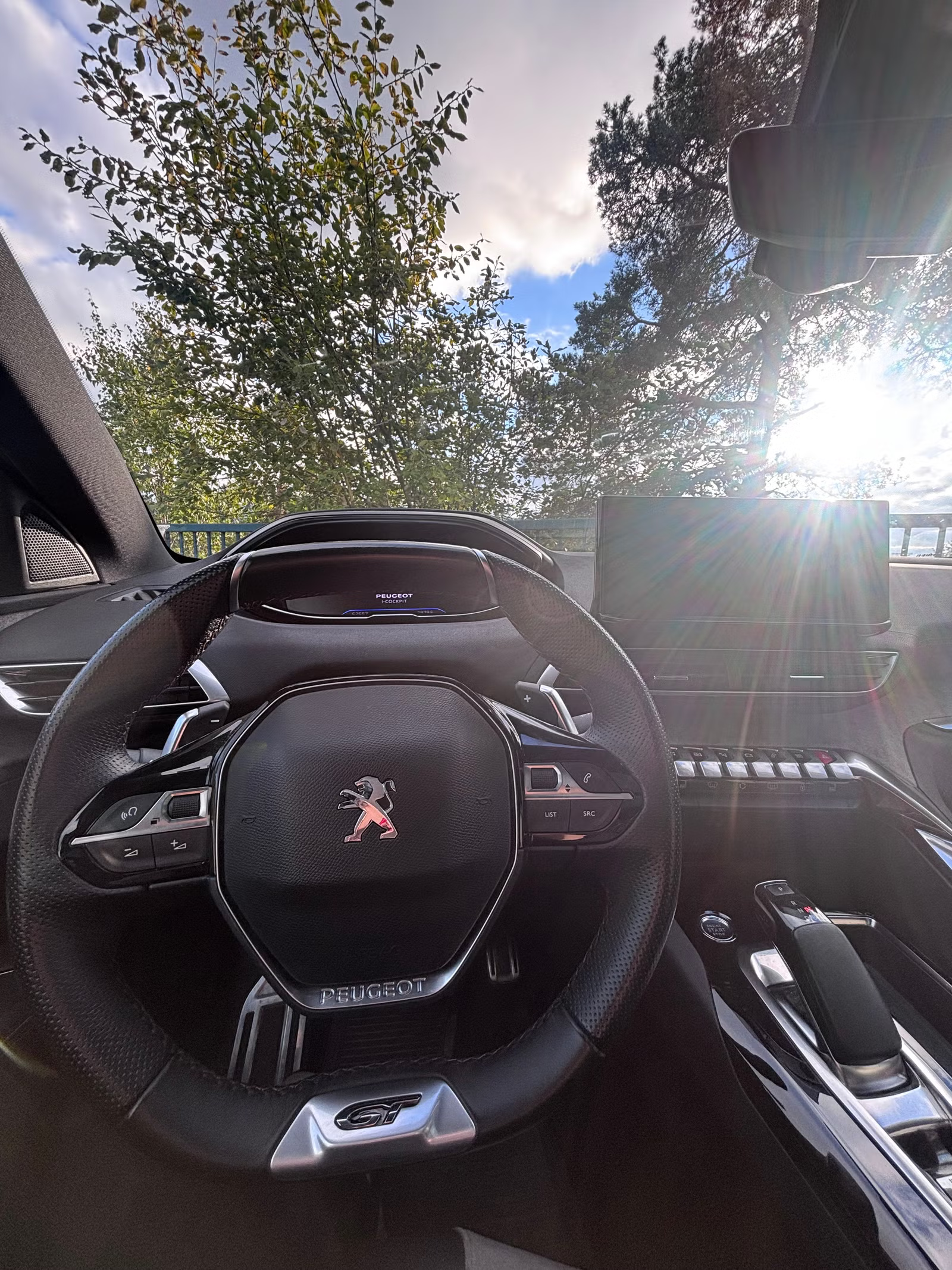 Peugeot 3008 2021 12