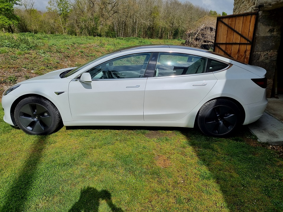 Tesla Tesla Model 3 Standard Range Plus RWD 2020 18