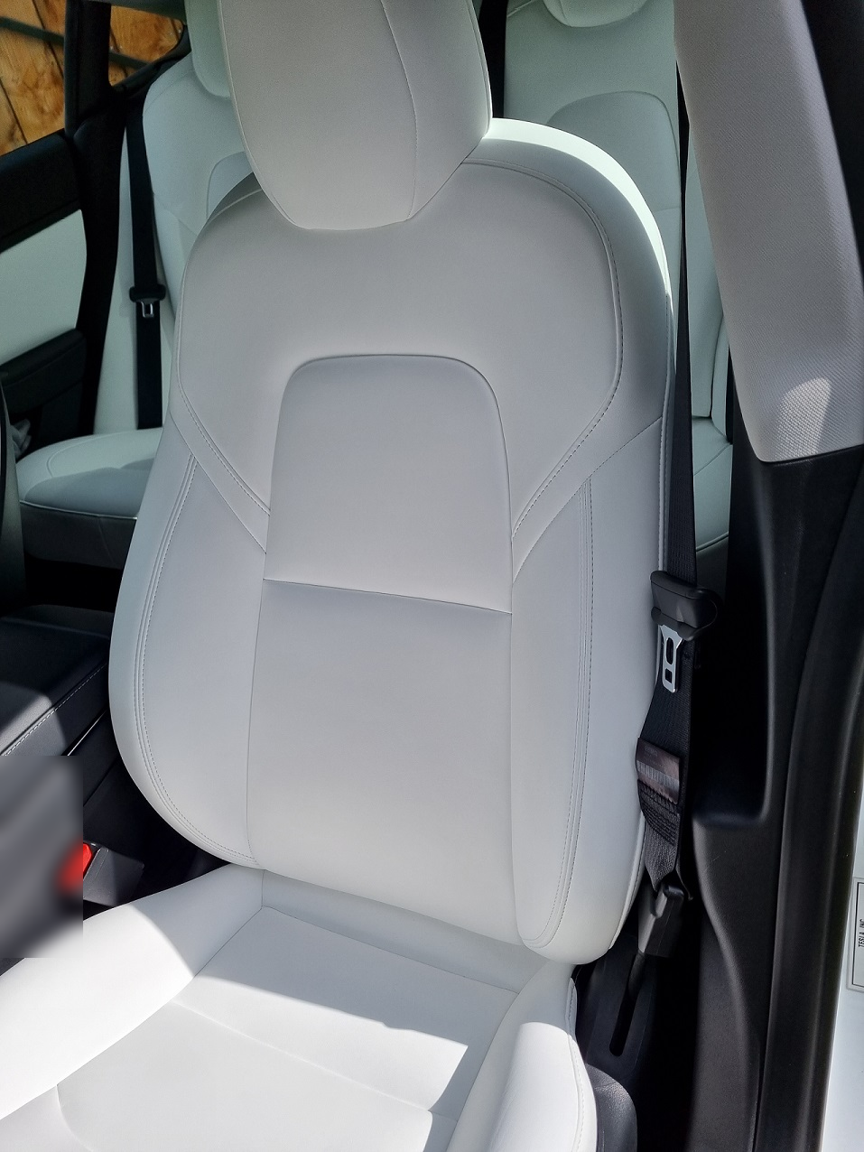 Tesla Tesla Model 3 Standard Range Plus RWD 2020 10