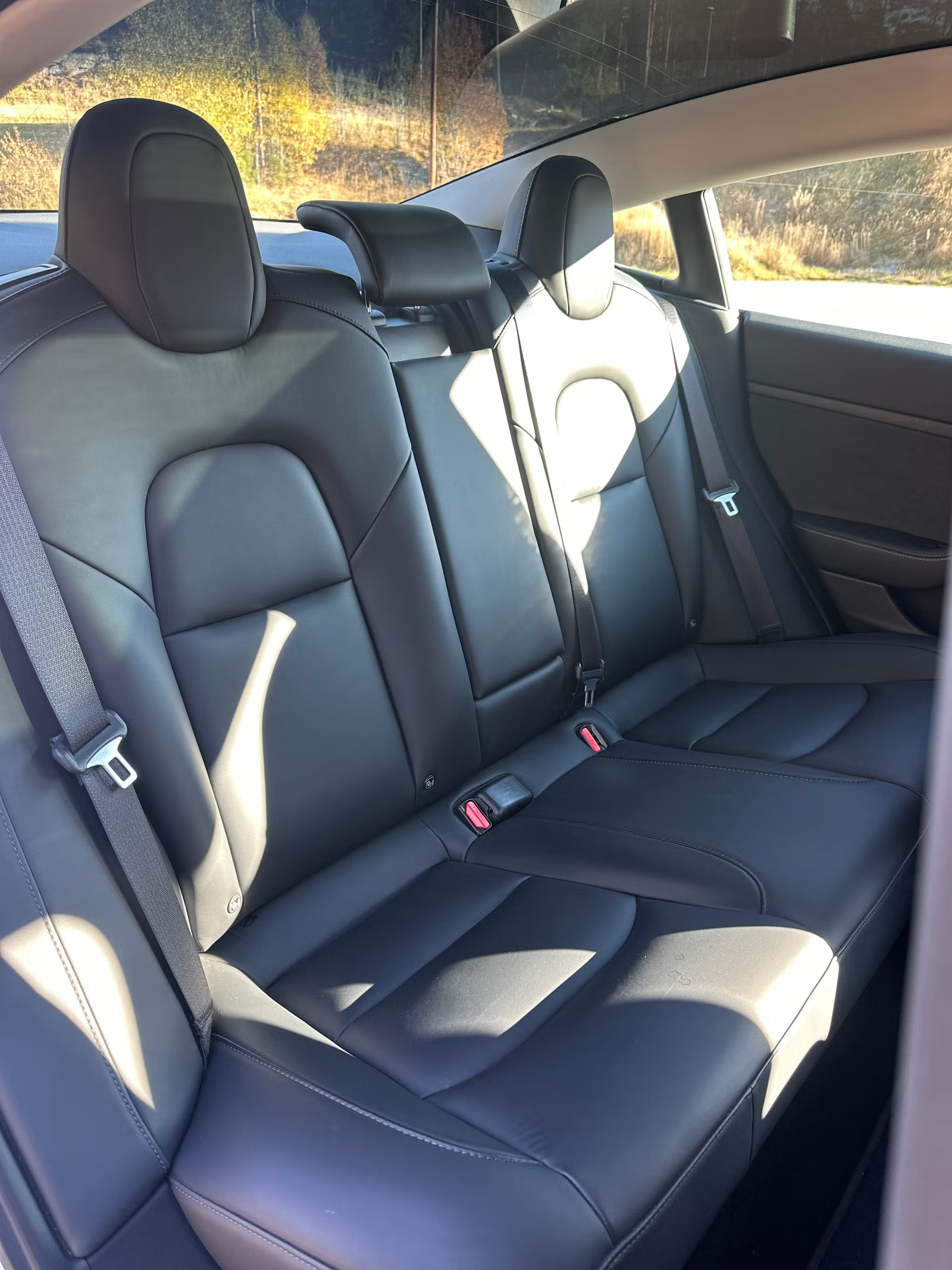 Tesla Model 3 Standard Range 2022 13