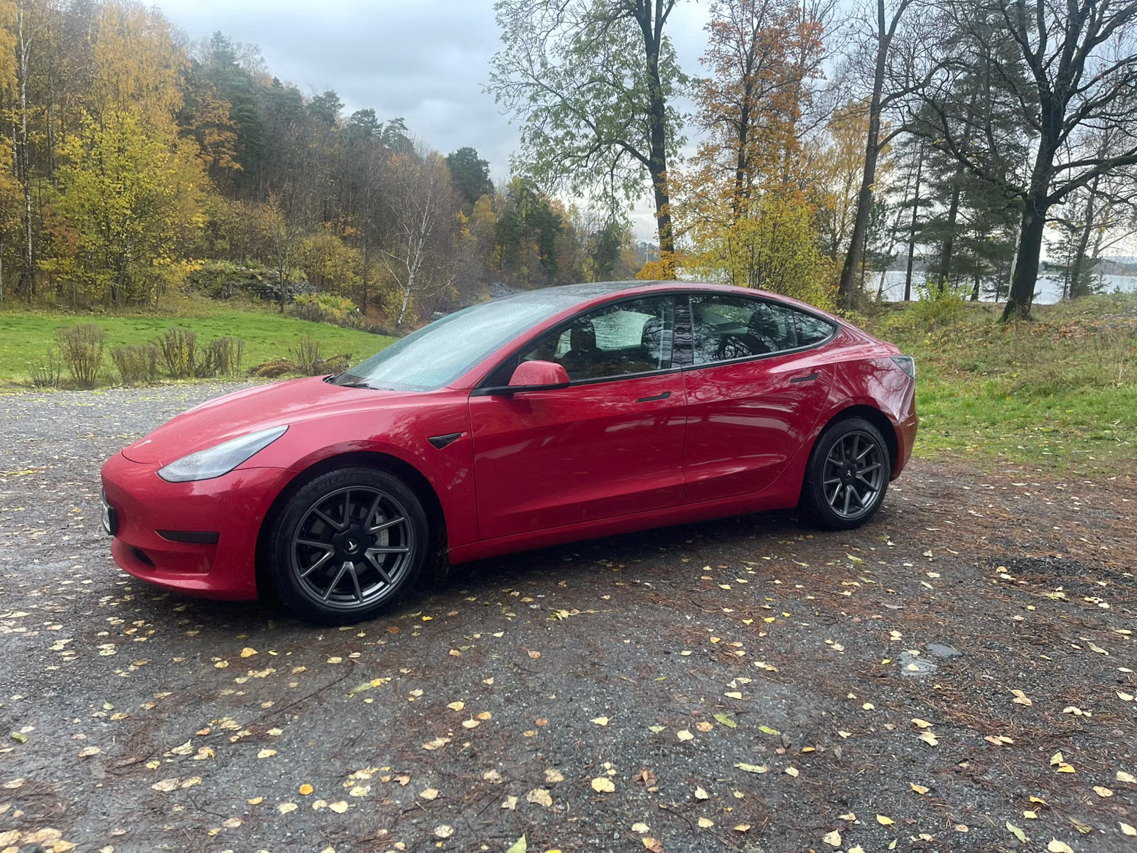 Tesla Model 3 Standard Range Plus 2021 7