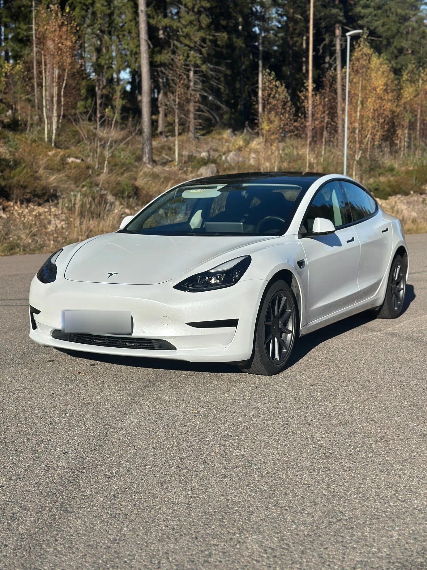 Tesla Model 3 Standard Range 2022 1