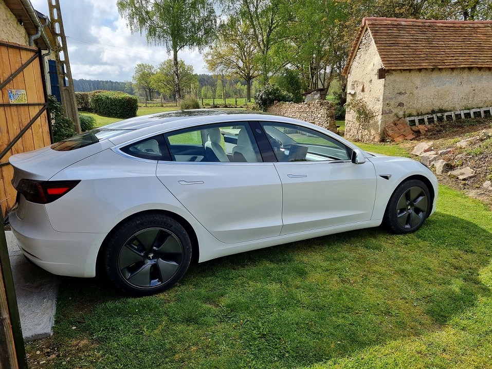 Tesla Tesla Model 3 Standard Range Plus RWD 2020 17
