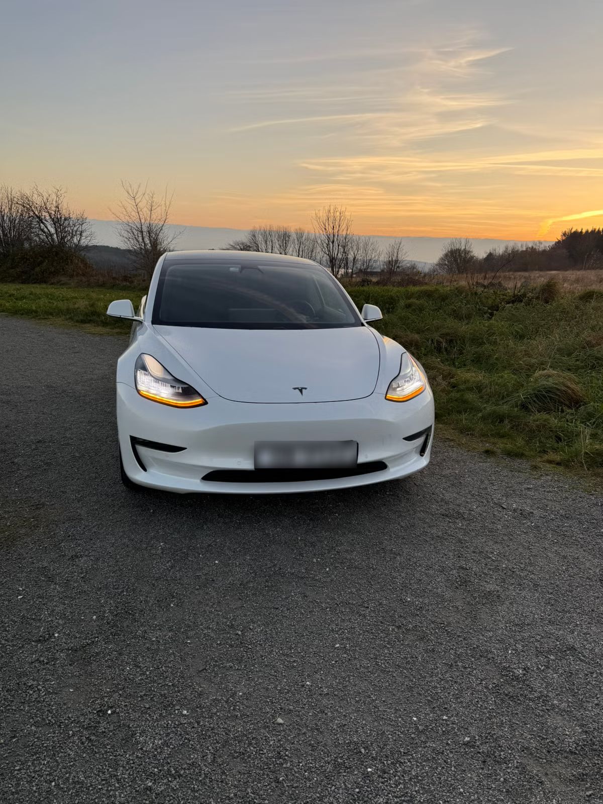 Tesla Model 3 Long Range AWD 2019 1