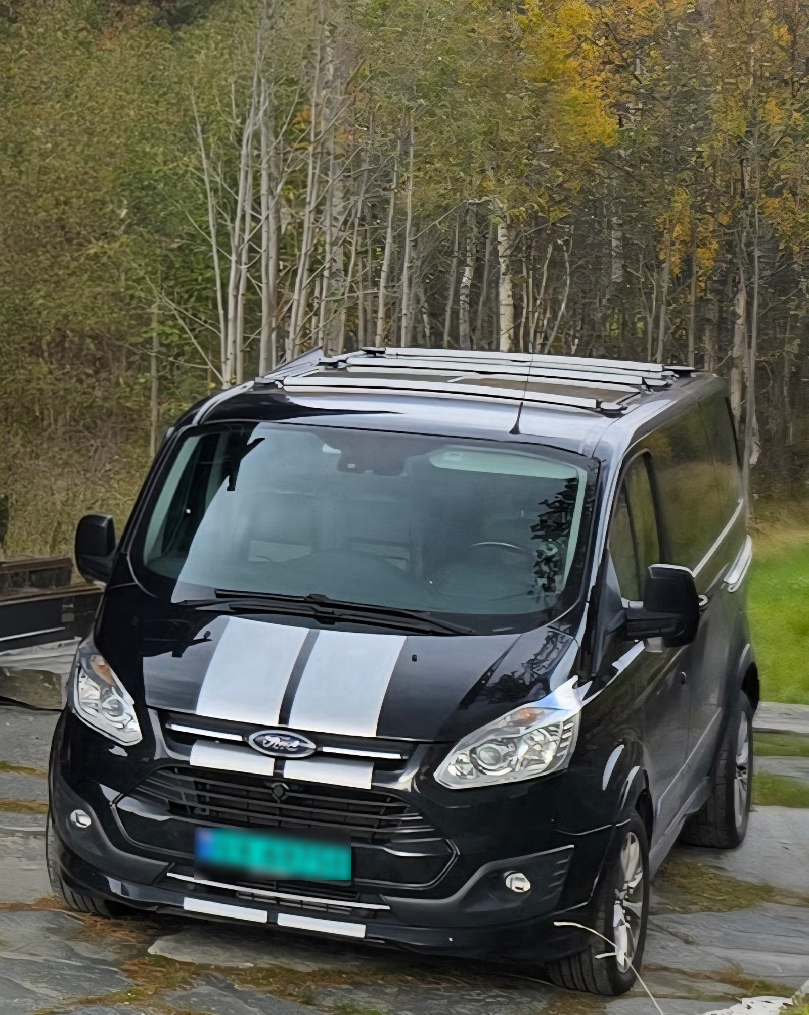 Ford Transit Custom 2018 1