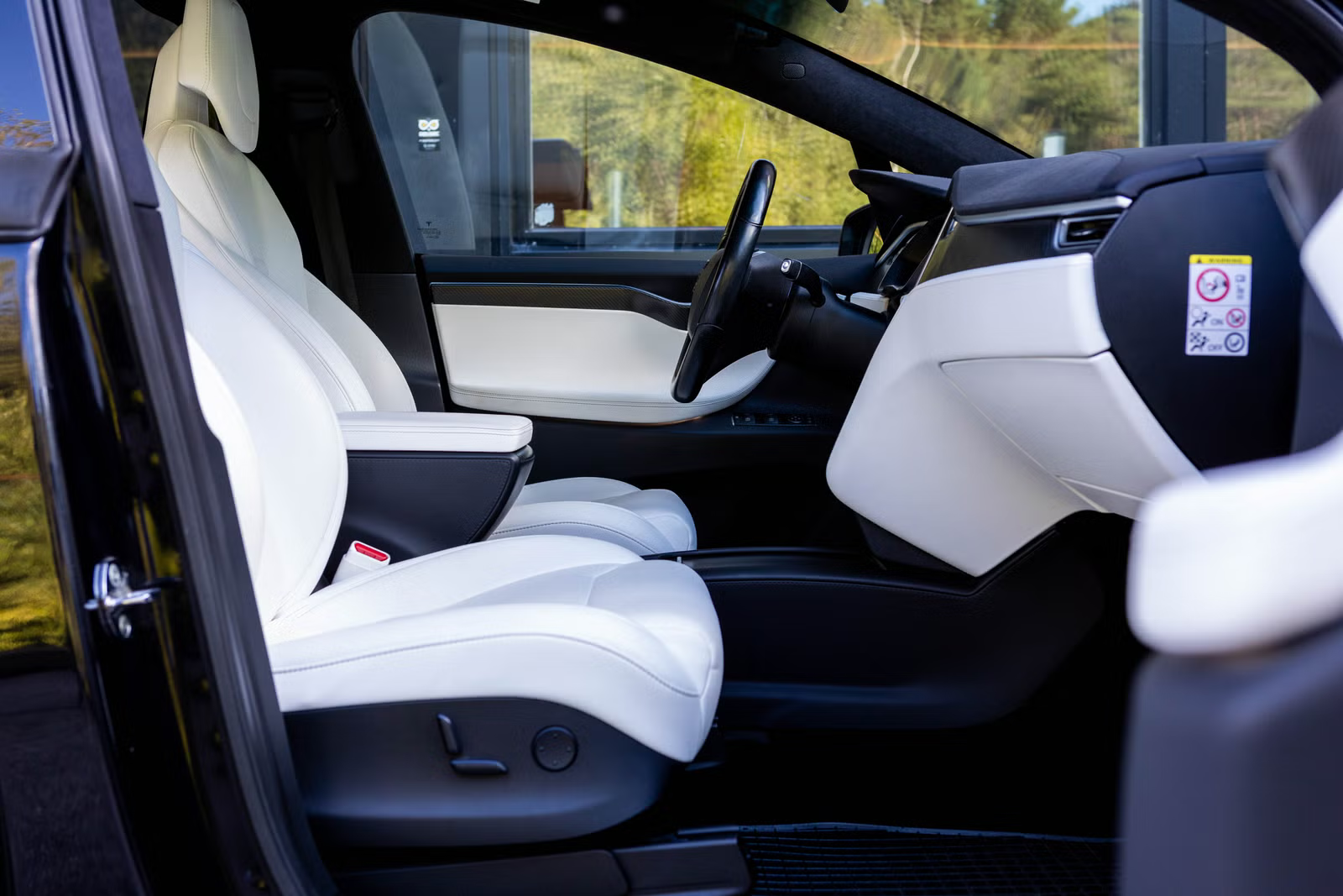 Tesla Model X 100D 2017 17