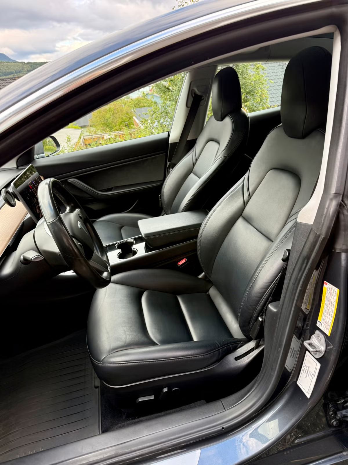 Tesla Model 3 2019 5