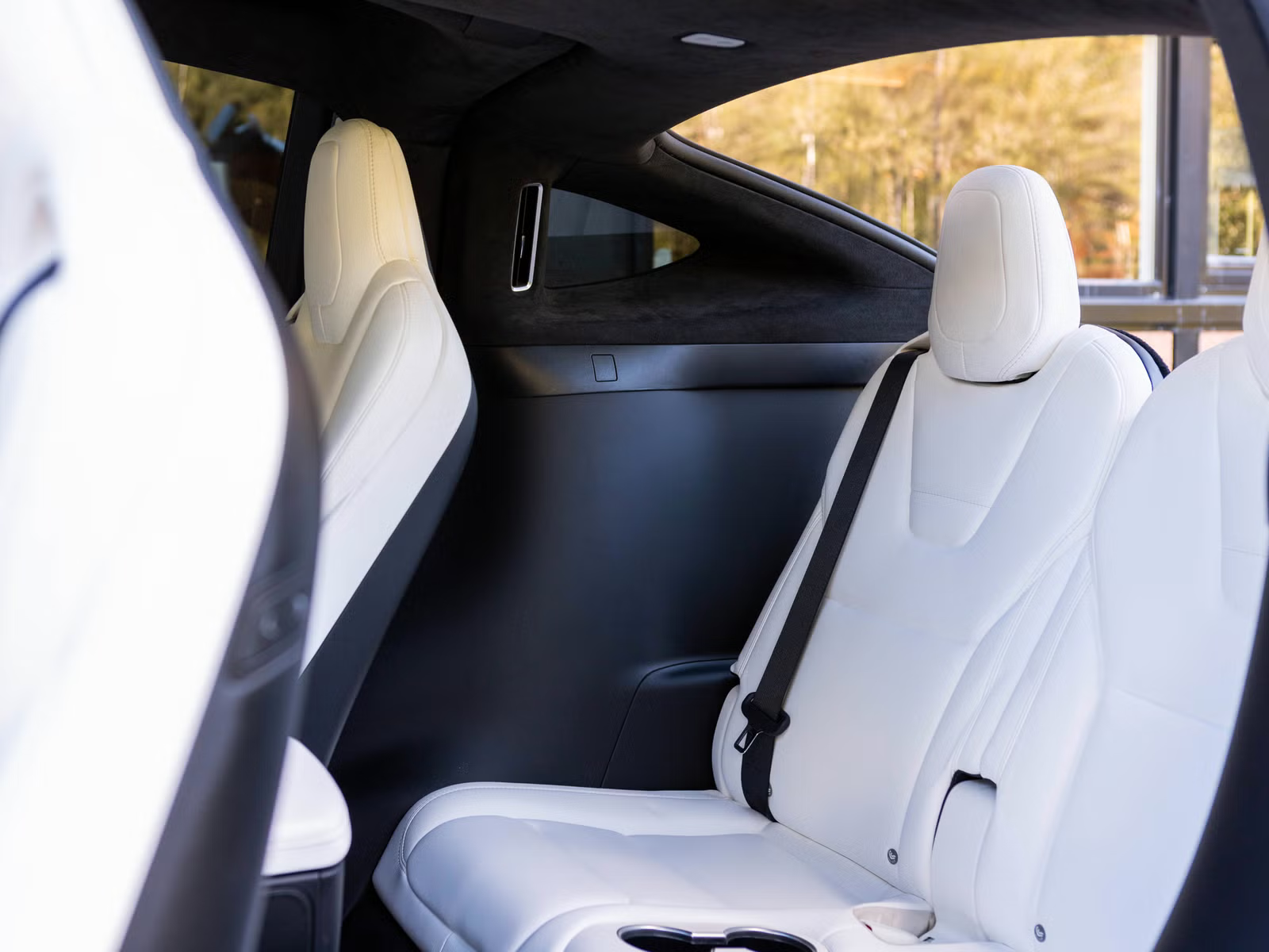 Tesla Model X 100D 2017 26