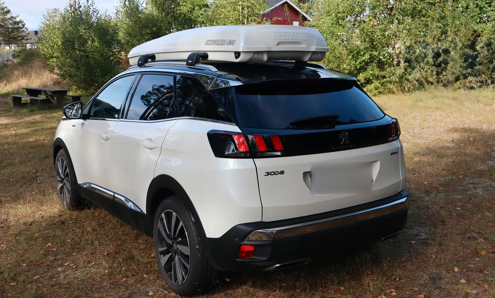 Peugeot 3008 2019 9