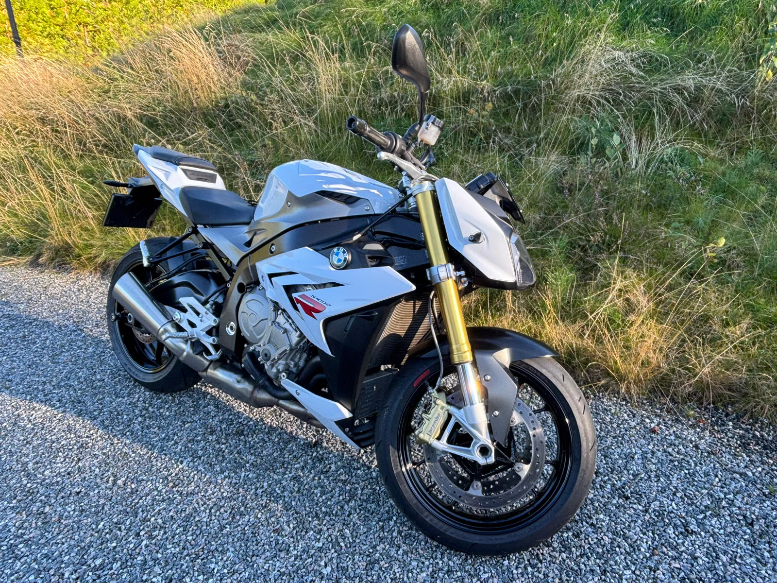 BMW S 1000 R 2015 2